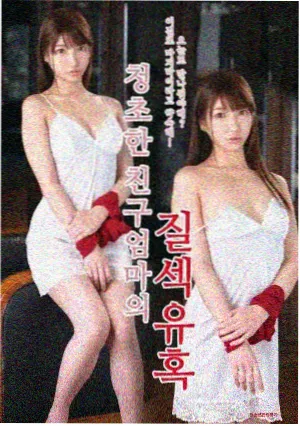 剧集雾港夜航条目封面